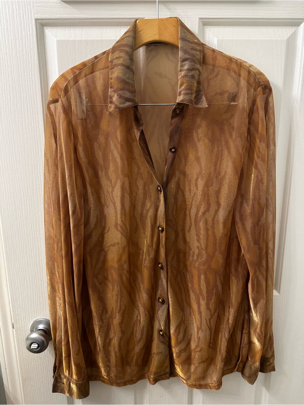 Sheer Brown Long-Sleeve Button-Up Shirt Jacket